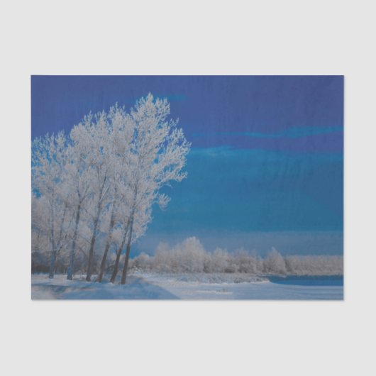 Winter Forest Trees Snow Blue Sky Natuur Tissuepapier (Voorkant)