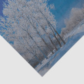 Winter Forest Trees Snow Blue Sky Natuur Tissuepapier (Detail)