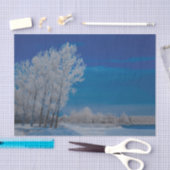 Winter Forest Trees Snow Blue Sky Natuur Tissuepapier (Craft)
