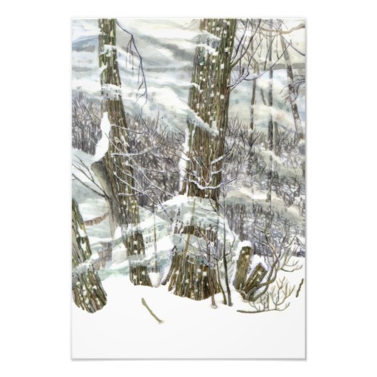 Winter Foto Afdruk (Voorkant)