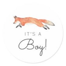 Winter Fox Baby shower