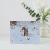 Winter Fox Briefkaart (Staand voorkant)