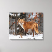 Winter Fox Canvas Print (Voorkant)