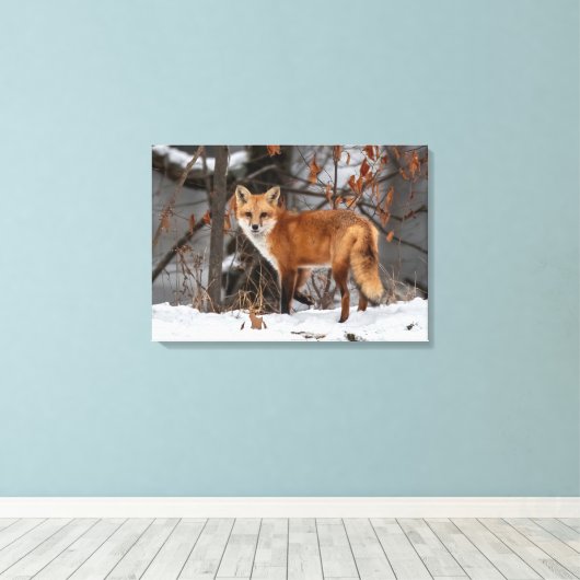 Winter Fox Canvas Print (Insitu (Houten vloer))