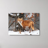 Winter Fox Canvas Print (Voorkant)