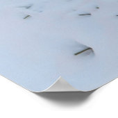 Winter Fox Poster (Hoek)