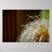 Winter Freeze Poster (Voorkant)