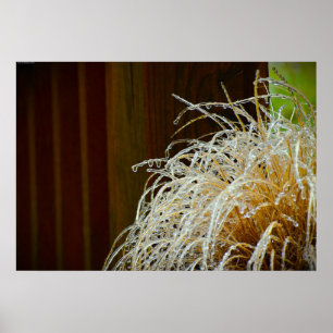 Winter Freeze Poster