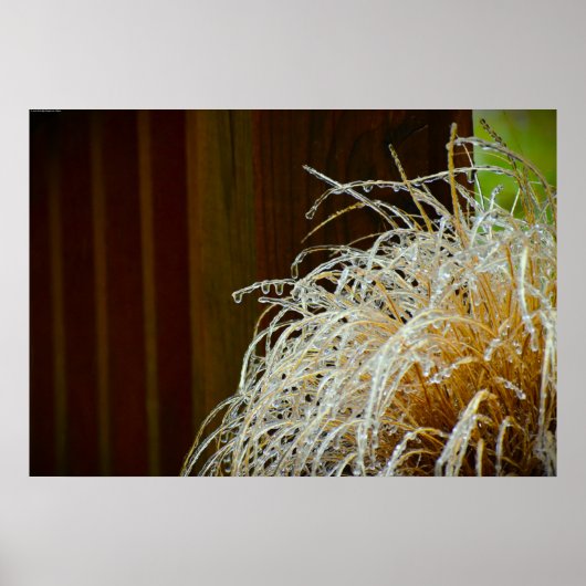 Winter Freeze Poster (Voorkant)