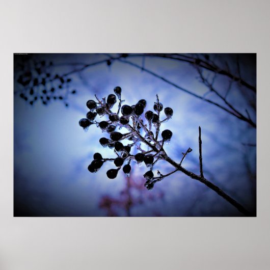 Winter Freeze Poster (Voorkant)