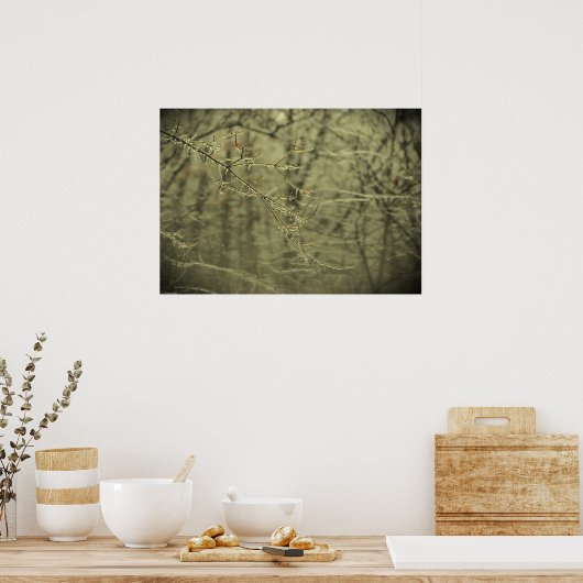 Winter Freeze Poster (Keuken)