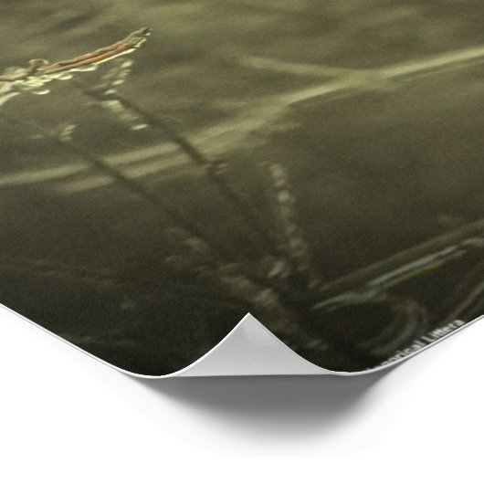 Winter Freeze Poster (Hoek)