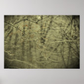 Winter Freeze Poster (Voorkant)