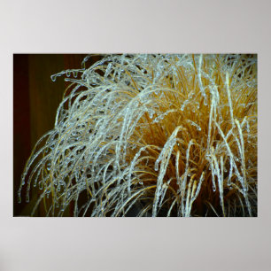 Winter Freeze Poster