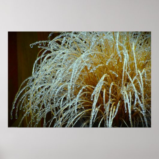 Winter Freeze Poster (Voorkant)