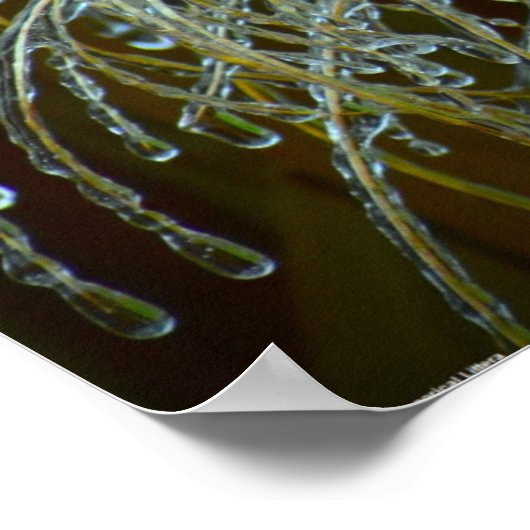 Winter Freeze Poster (Hoek)