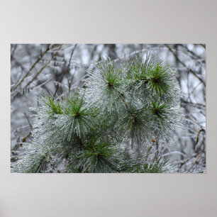 Winter Freeze Poster