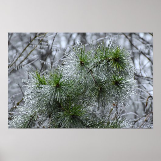 Winter Freeze Poster (Voorkant)