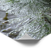 Winter Freeze Poster (Hoek)