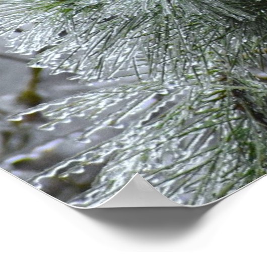 Winter Freeze Poster (Hoek)