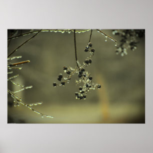 Winter Freeze Poster