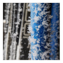 Winter Frost AcrylArt Print