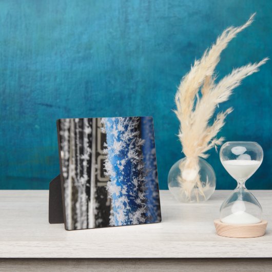 Winter Frost Desktop Plaque Fotoplaat (Insitu)