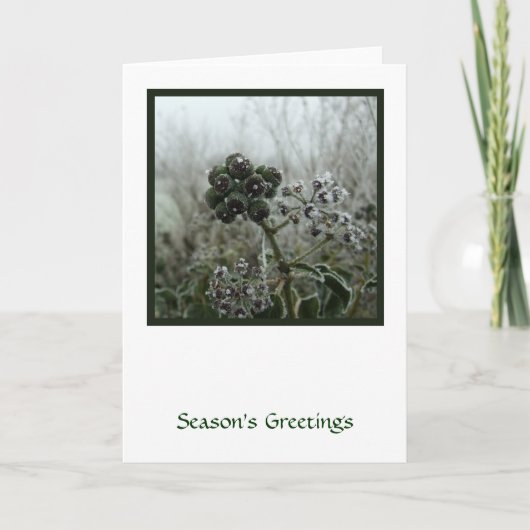 Winter Frost Holiday Kaart (Voorkant)