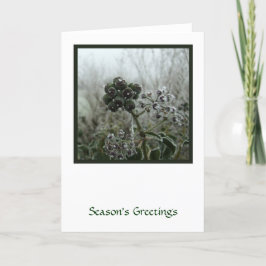 Winter Frost Holiday Kaart