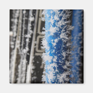 Winter Frost Magnet