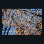 Winter frosted tree poster<br><div class="desc">Winter frosted tree</div>