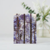 Winter Frosty Forest Morning Zwitserland Briefkaart (Staand voorkant)