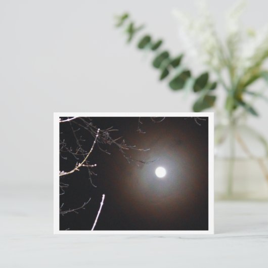 Winter Full Moon Briefkaart (Staand voorkant)
