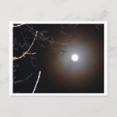 Winter Full Moon Briefkaart (Voorkant)