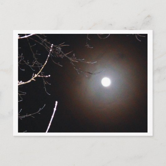 Winter Full Moon Briefkaart (Voorkant)