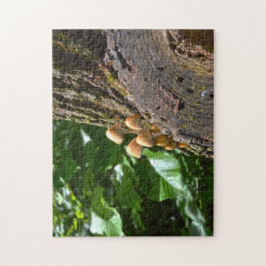 Winter Fungi Canada. Legpuzzel (Verticaal)