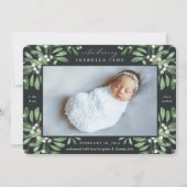 Winter Garden | Aankondiging van de foto ter geboo (Voorkant)