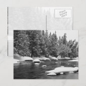 Winter Gedekte, zwarte en witte, mooie diepgevrore Briefkaart (Voorkant / Achterkant)