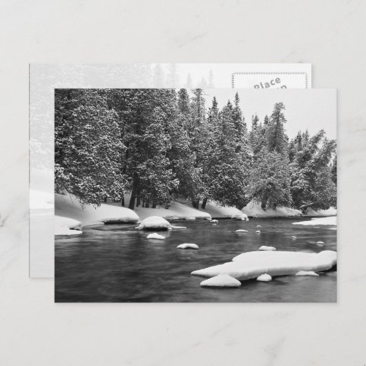 Winter Gedekte, zwarte en witte, mooie diepgevrore Briefkaart (Voorkant / Achterkant)