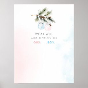 Winter Gender Reveal Stembord Poster