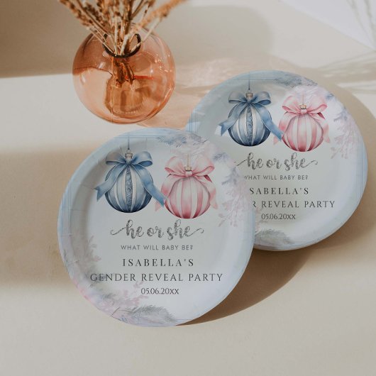 Winter Geslacht onthullen Partij Papieren Bordje