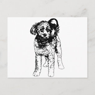 Winter Glimlach Script Briefkaart
