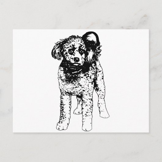 Winter Glimlach Script Briefkaart (Voorkant)