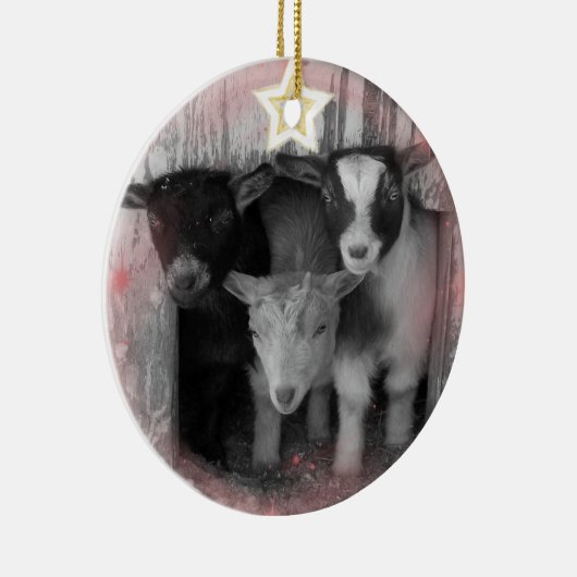 WINTER GOAT BABIES CHRISTMAS ORNAMENT (Rechts)