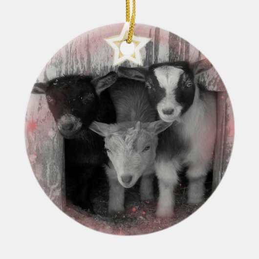 WINTER GOAT BABIES CHRISTMAS ORNAMENT (Voorkant)