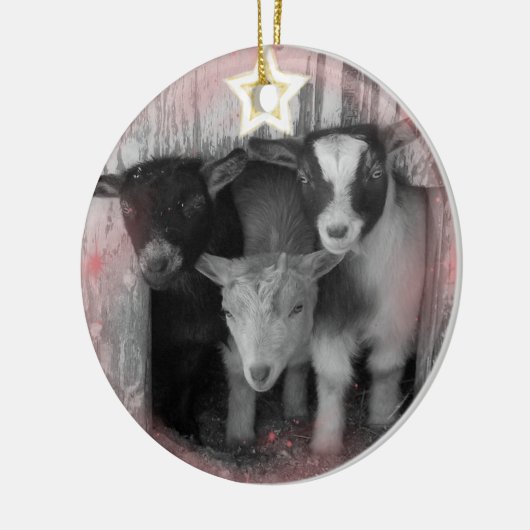 WINTER GOAT BABIES CHRISTMAS ORNAMENT (Links)