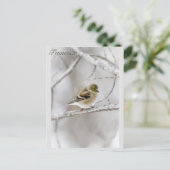 Winter Goldfinch Briefkaart (Staand voorkant)