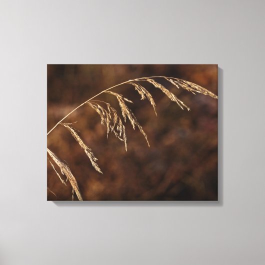 Winter Grass Canvas Afdruk (Voorkant)