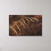Winter Grass Canvas Afdruk (Voorkant)