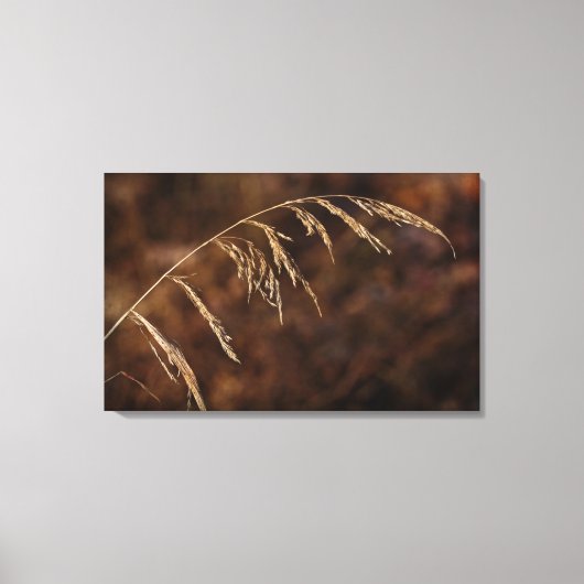 Winter Grass Canvas Afdruk (Voorkant)